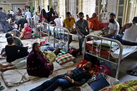 Bangladesh đối mặt với sốt xuất huyết chết người cao kỷ lục