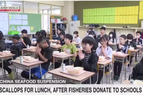 Nhật Bản bổ sung sò điệp vào thực đơn trường học sau khi Trung Quốc cấm nhập khẩu hải sản
