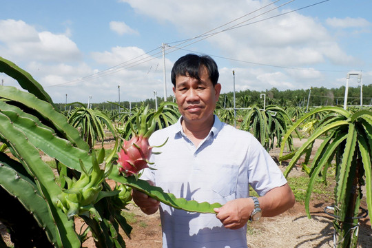 Chương trình "Tự hào nông dân Việt Nam 2023": Bình Thuận có 1 cá nhân và 1 hợp tác xã được tôn vinh toàn quốc