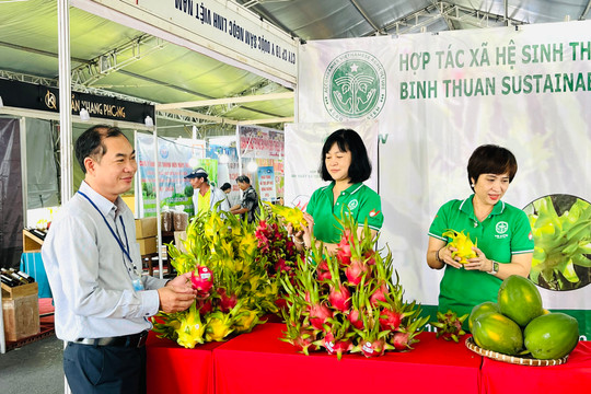 Nhìn nhận lại vai trò thực sự của kinh tế tập thể