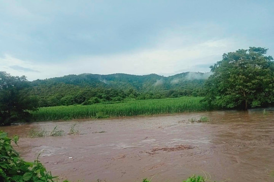 Hàm Thuận Bắc: Thi thể người dân bị nước lũ cuốn trôi đã được tìm thấy