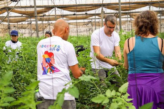 Thiếu hụt lao động do xung đột, Israel phát động phong trào "giải cứu” nông dân