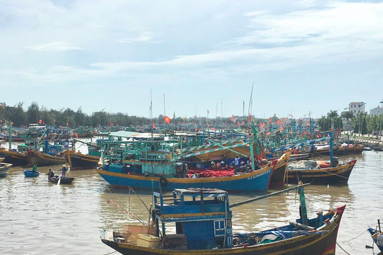 Tàu cá Bình Thuận bị tàu vận tải đâm chìm, 1 lao động đang mất tích