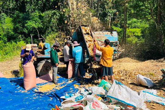 
Giảm nghèo bền vững ở Hàm Thuận Nam: Công tác thông tin, tuyên truyền đi trước, thấm sâu và lan toả