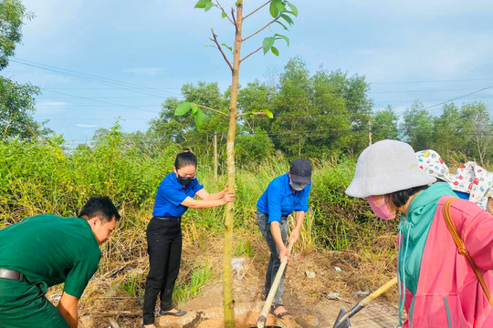 Hàm Tân: Phát động trồng cây xanh và vệ sinh môi trường