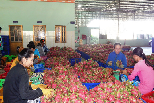 Giảm tiền thuê đất, đòn bẩy tăng trưởng kinh tế