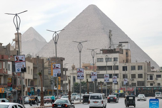 Ai Cập tiến hành bầu cử tổng thống