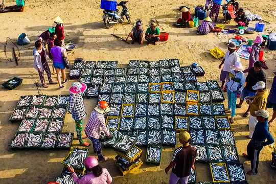 Giảm nghèo bền vững ở Hàm Thuận Nam: 
Tạo sinh kế cho ngư dân vươn lên thoát nghèo
