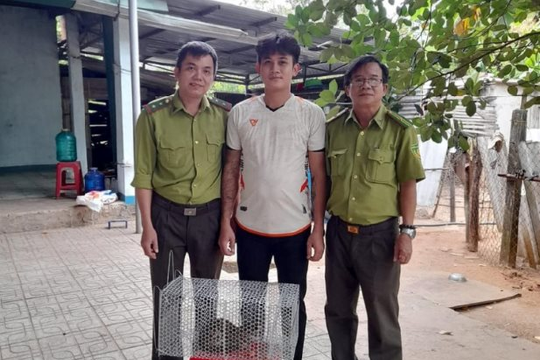 Thanh niên mua mèo rừng rồi bàn giao cho Hạt Kiểm lâm
