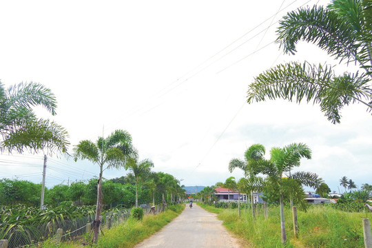 Xây dựng nông thôn mới năm 2023 ở Hàm Thuận Nam: “Vượt ải” tiêu chí môi trường
