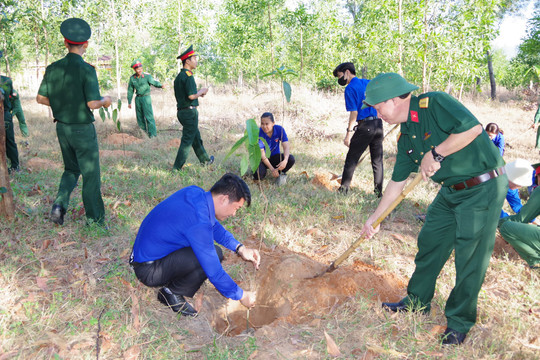 Lễ trồng cây chương trình “triệu cây xanh – vì một Việt Nam xanh”