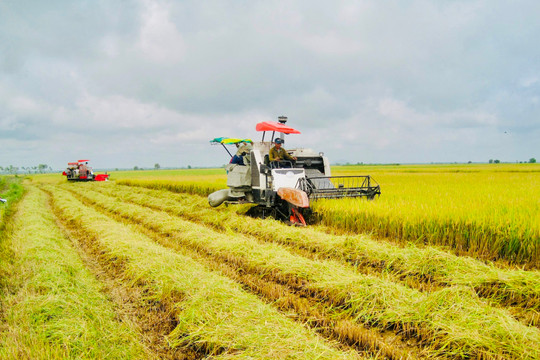 Ngành Nông nghiệp và Phát triển nông thôn: Để xứng tầm là một trong ba “trụ cột” kinh tế