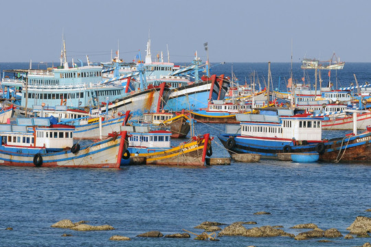 Binh Thuan musters all-in efforts to combat IUU fishing