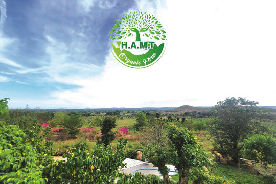 H.A.M.T ORGANIC FARM: Sản xuất sạch & du lịch sinh thái canh nông