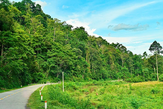 A day to explore the splendid mountain pass between Binh Thuan and Lam Dong