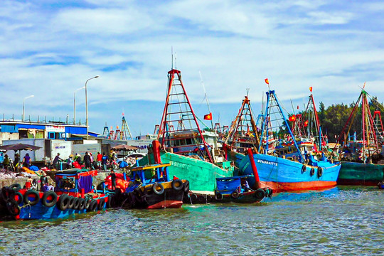 Đầu tư hạ tầng cảng cá, khu tránh trú bão: Góp phần hiện đại hóa ngành thủy sản