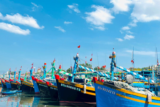 Bình Thuận quyết liệt kiểm soát tàu “3 không”