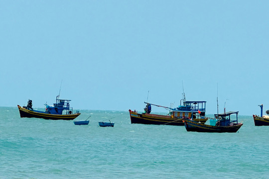 Hướng tới kỷ niệm 65 năm Ngày truyền thống ngành Thủy sản (1/4/1959 - 1/4/2024) Hàm Thuận Nam: Phát huy đồng quản lý trong bảo vệ nguồn lợi thủy sản