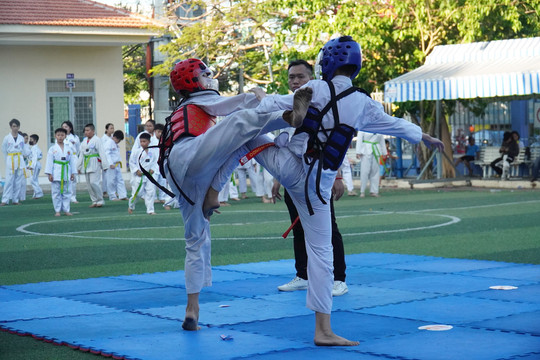 250 võ sinh Taekwondo thi nâng cấp đai