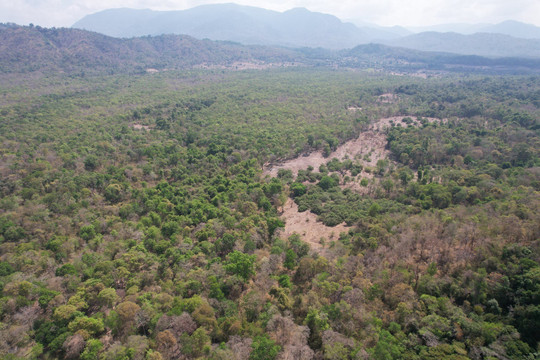 Bình Thuận và tiềm năng khai thác carbon rừng