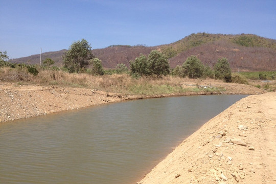 Bình Thuận thiếu 3 tỷ m3 nước cho sản xuất nông nghiệp