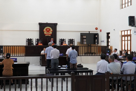 Hoãn phiên tòa xét xử nguyên Tổng giám đốc Công ty Lâm nghiệp Bình Thuận