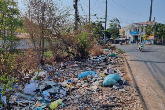 TP. Phan Thiết: Giải pháp nào xử lý tình trạng vứt rác bừa bãi tại Phú Tài?