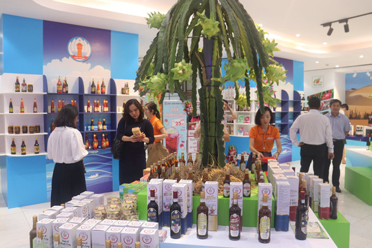 Khai mạc Tuần lễ Triển lãm sản phẩm đặc trưng, sản phẩm OCOP tỉnh Bình Thuận tại TP. Hồ Chí Minh