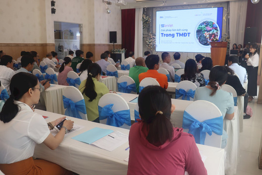 Giới thiệu Sàn thương mại điện tử 3 tỉnh Bình Thuận - Ninh Thuận - Lâm Đồng