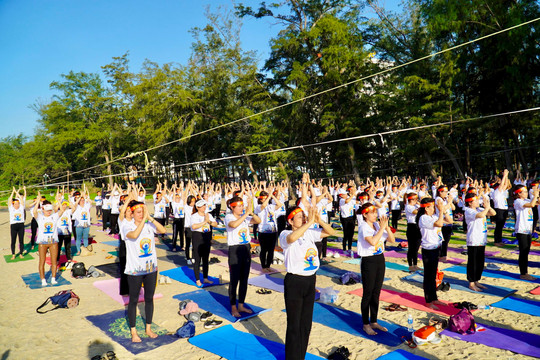 
1000 vận động viên tham gia Ngày Quốc tế Yoga