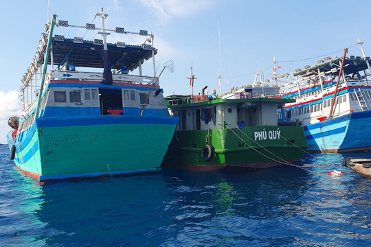 Quản lý tàu cá có nguy cơ vi phạm nước ngoài như thế nào?