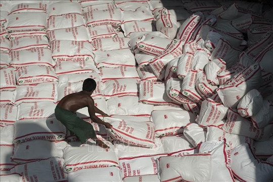 Thái Lan công bố kết quả kiểm nghiệm gạo 10 năm trong kho dự trữ