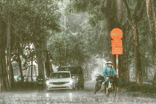 Mưa thành phố nhớ mưa rừng!