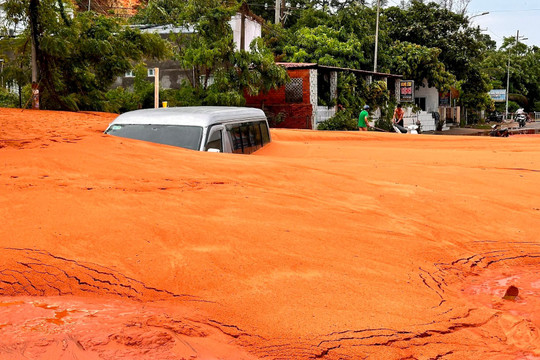 Trồng cỏ vetiver chống cát tràn ở Hàm Tiến, Mũi Né?