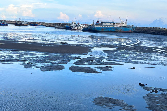Một số tàu dầu neo đậu tại Cảng cá Phú Hải không đúng quy định