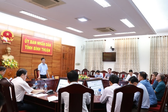 Xử lý dứt điểm mùi hôi từ các trang trại chăn nuôi heo của Công ty TNHH Làng Việt Nam trước ngày 31/1/2025
