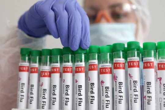 WHO xác nhận ca tử vong đầu tiên ở người liên quan đến cúm gia cầm H5N2