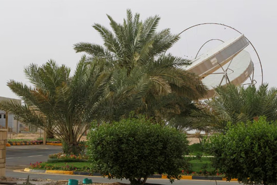 Saudi Arabia lên kế hoạch trồng 10 tỷ cây xanh để phục hồi khí hậu