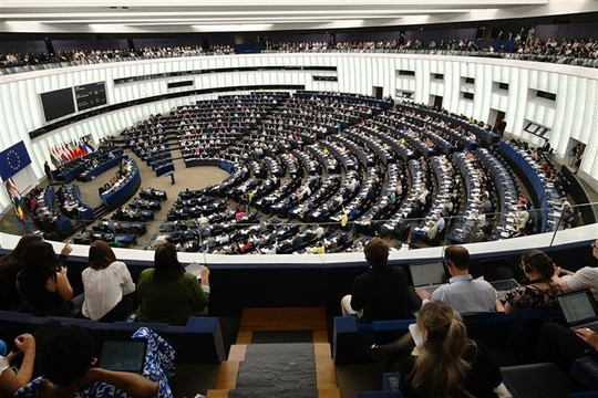 Bầu cử Nghị viện châu Âu: Bỉ lo ngại tỷ lệ cử tri đi bầu thấp kỷ lục