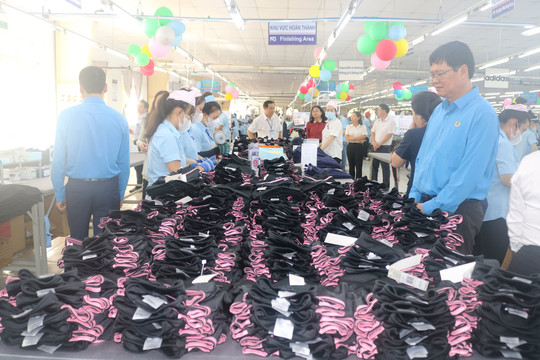 Nâng cao Bộ chỉ số đổi mới sáng tạo cấp địa phương cho Bình Thuận