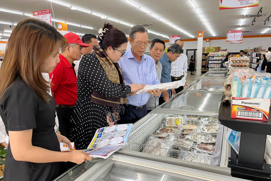 Binh Thuan’s delegation conducts survey to explore the market in Laos.