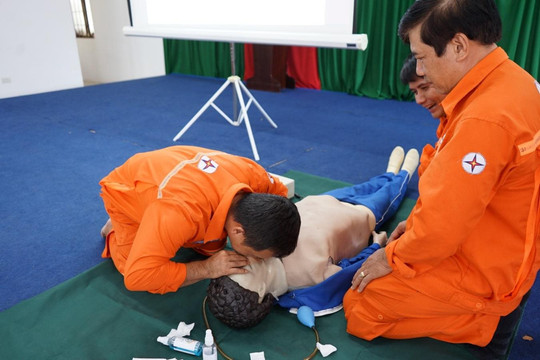 Công ty Thủy điện Đại Ninh tổ chức huấn luyện sơ cấp cứu tai nạn lao động năm 2024