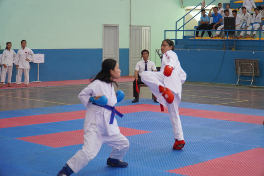 
Hơn 300 vận động viên tranh giải Karate các CLB Bình Thuận mở rộng 2024