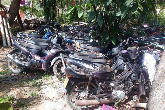 Tăng cường tuần tra xử lý các đối tượng phá rừng