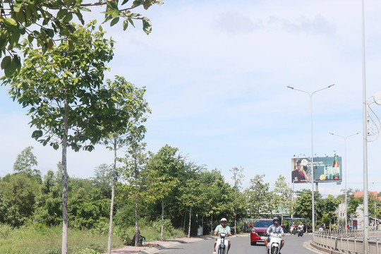 Sớm triển khai dự án công viên ở Phú Hài
