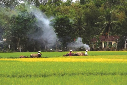 Nhớ khói lam chiều