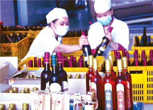 Hàm Thuận Bắc tập trung nâng hạng sản phẩm OCOP