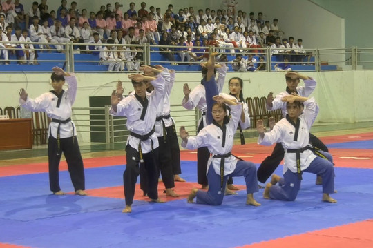 Khai mạc giải Taekwondo vô địch các lứa tuổi trẻ tỉnh Bình Thuận năm 2024