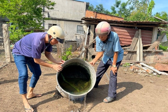 Sốt xuất huyết giảm mạnh nhưng đừng chủ quan