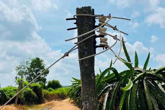 UBND tỉnh chỉ đạo kiểm tra, xử lý nạn trộm dây, bóng đèn chong thanh long